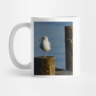 Wary Gull Mug